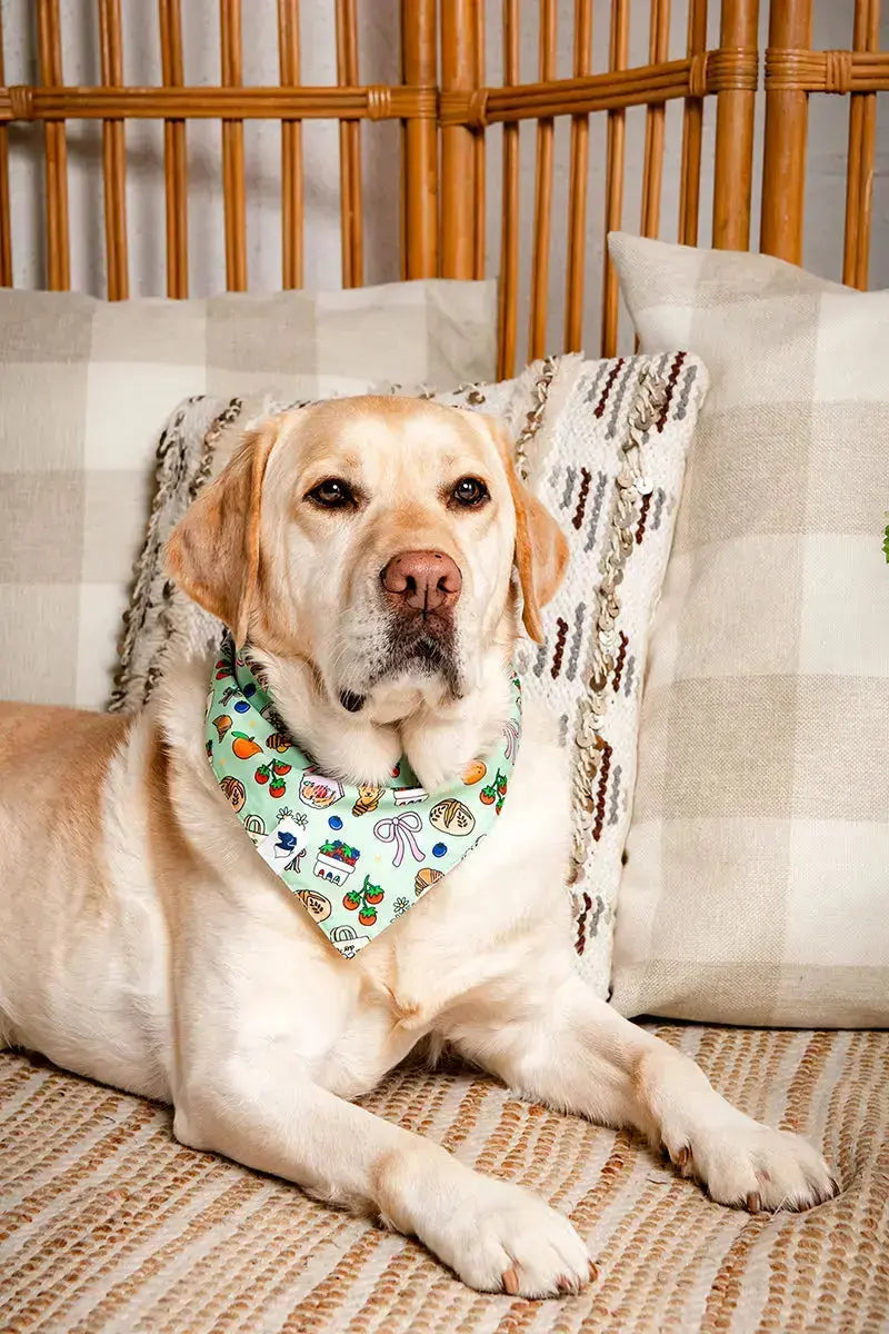 Featured Maker: Dog Bandana Co. and Their Seasonal Pet Accessories