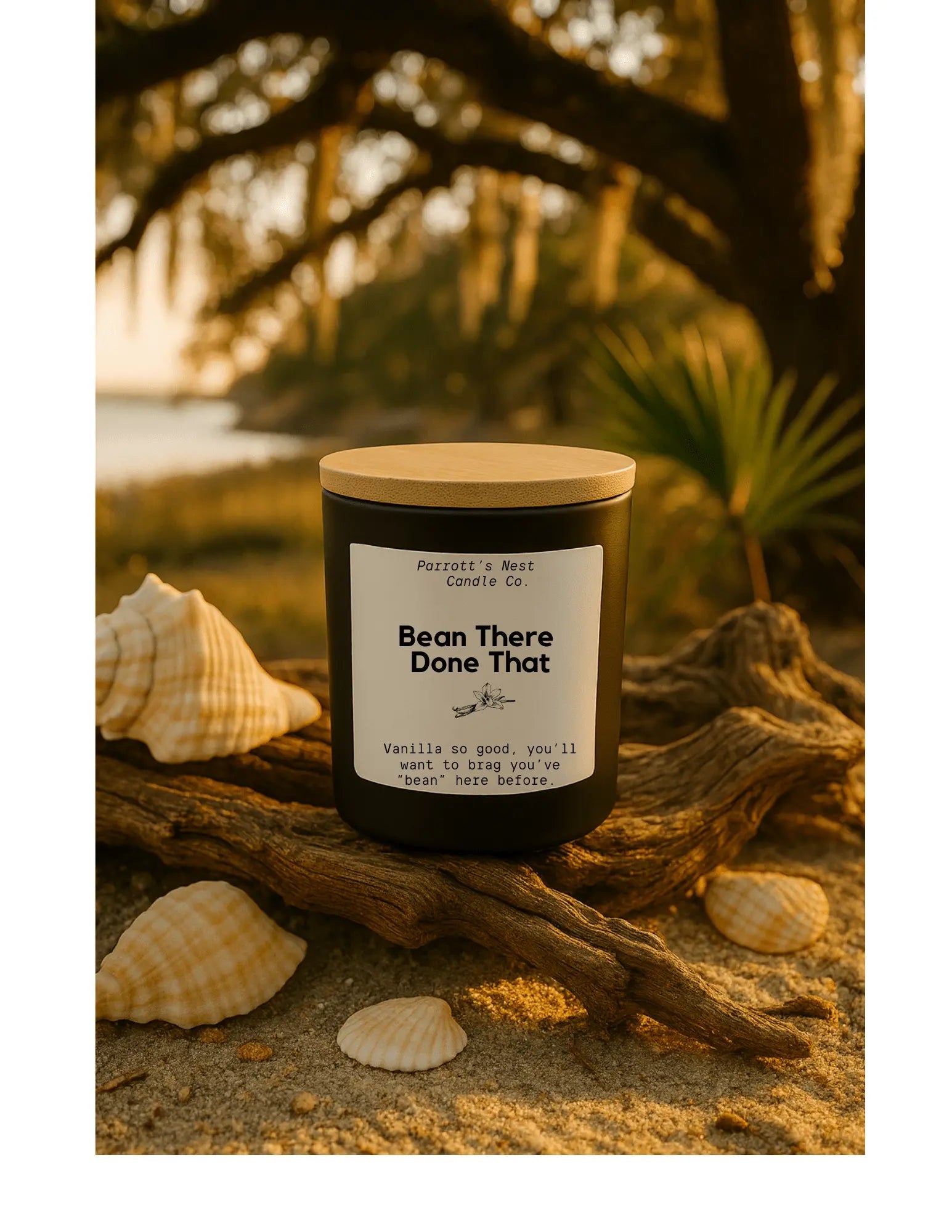 Parrott's Nest Gifts Under $25 collection cover