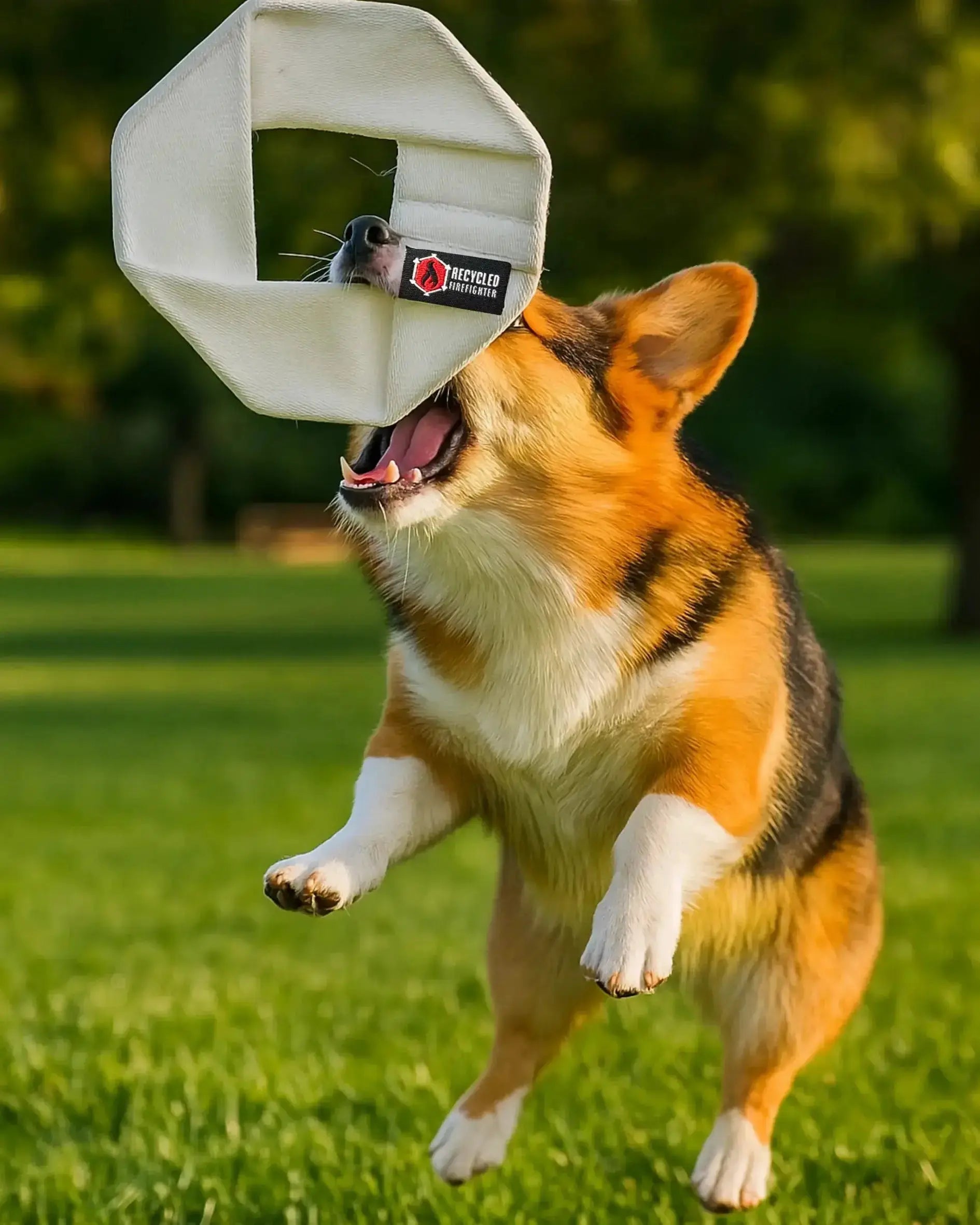 Southern-Handmade-Pet-Goods-Accessories ADAPTIVE EDGE