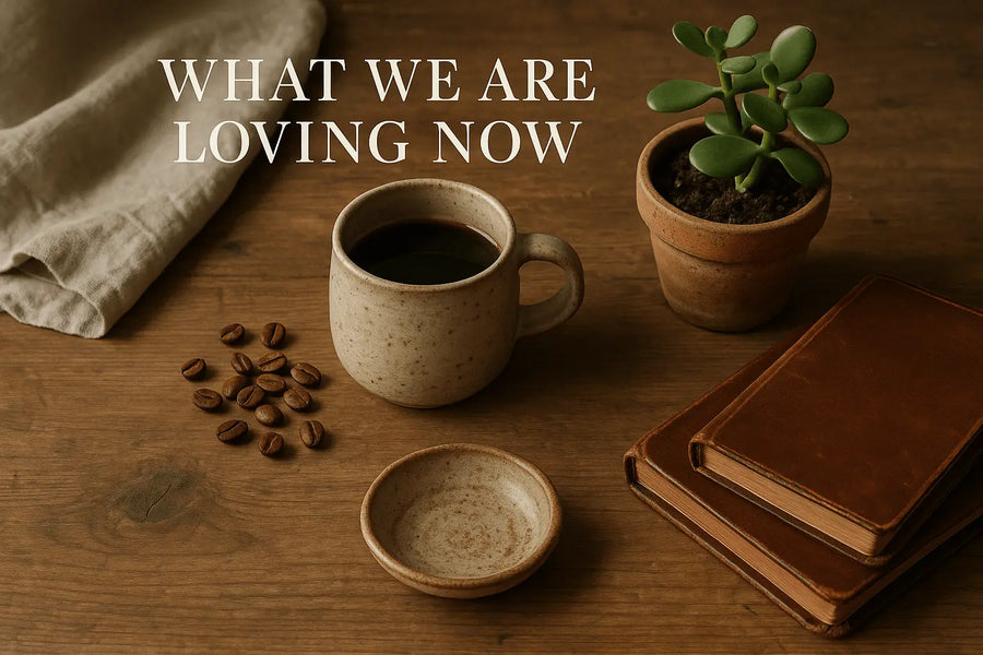 What We're Loving Now - Curated Mississippi Favorites