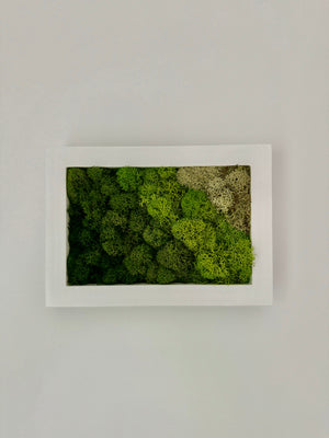 Diagonal Gradient, Rectangle