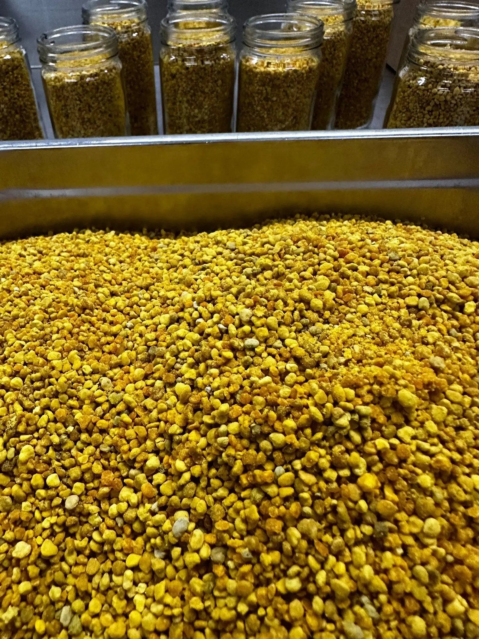 1 Pound Bee Pollen The Lady May