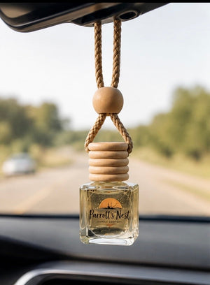 Black Ice Car Diffuser | Vent Clip or Rearview Air Freshener by Parrott's Nest Candle Company, scented candle main product photo