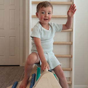 My First Climber Playset