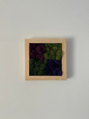 Purple Squares, Square