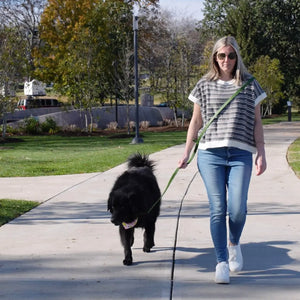 4x1 Waterproof Hands Free Dog Leash Dog Bandana Co.