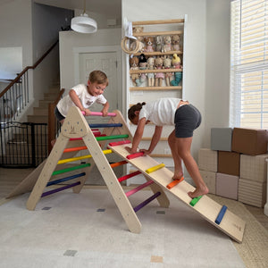 Classic Climber Playset