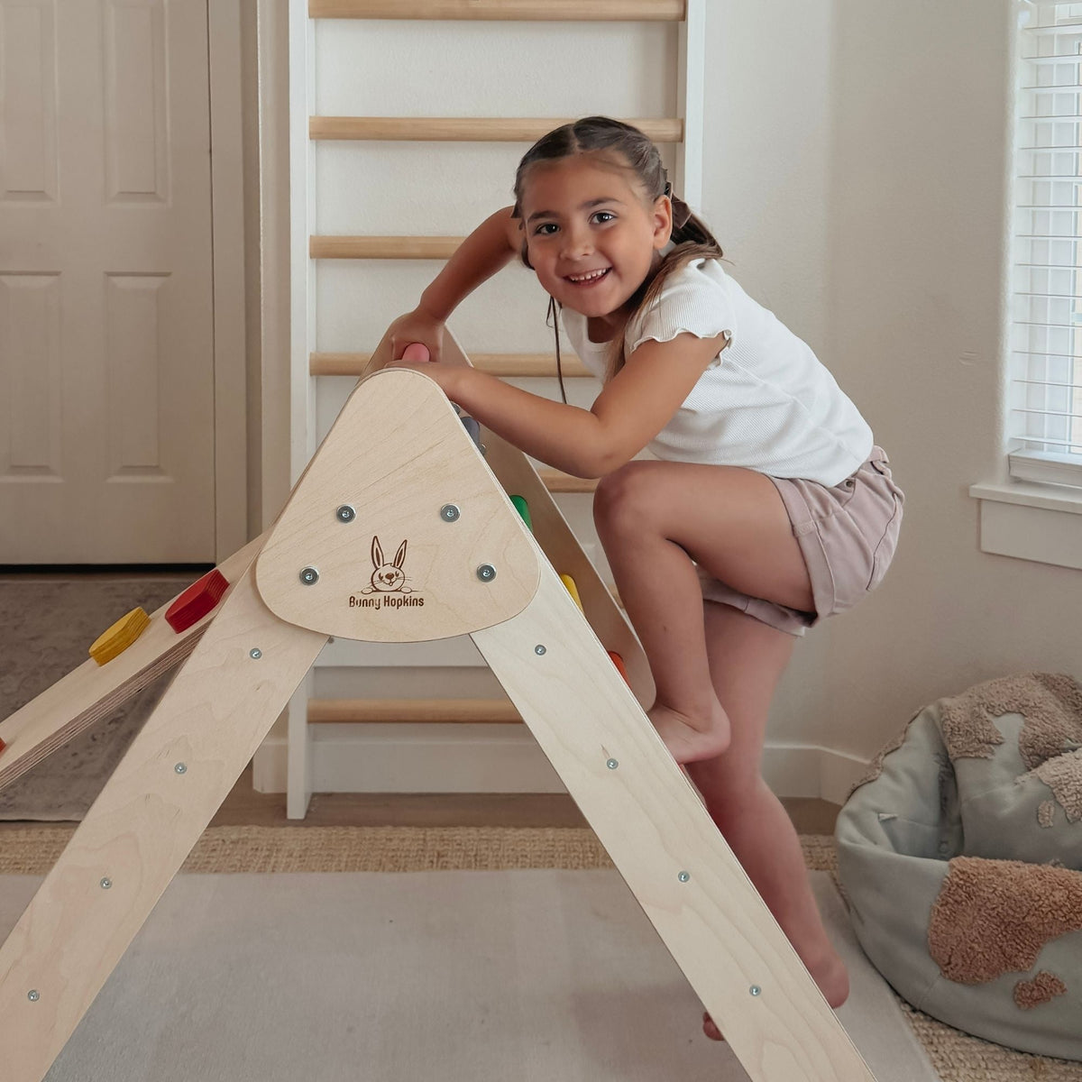 Classic Climber Playset