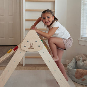 Classic Climber Playset