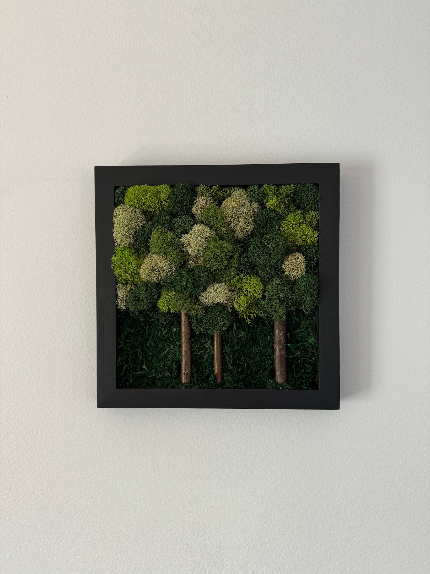 Multi-green Forest, Square