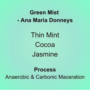 Green Mist - Ana Maria Donneys