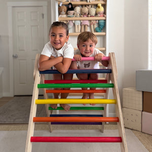 Classic Climber Playset