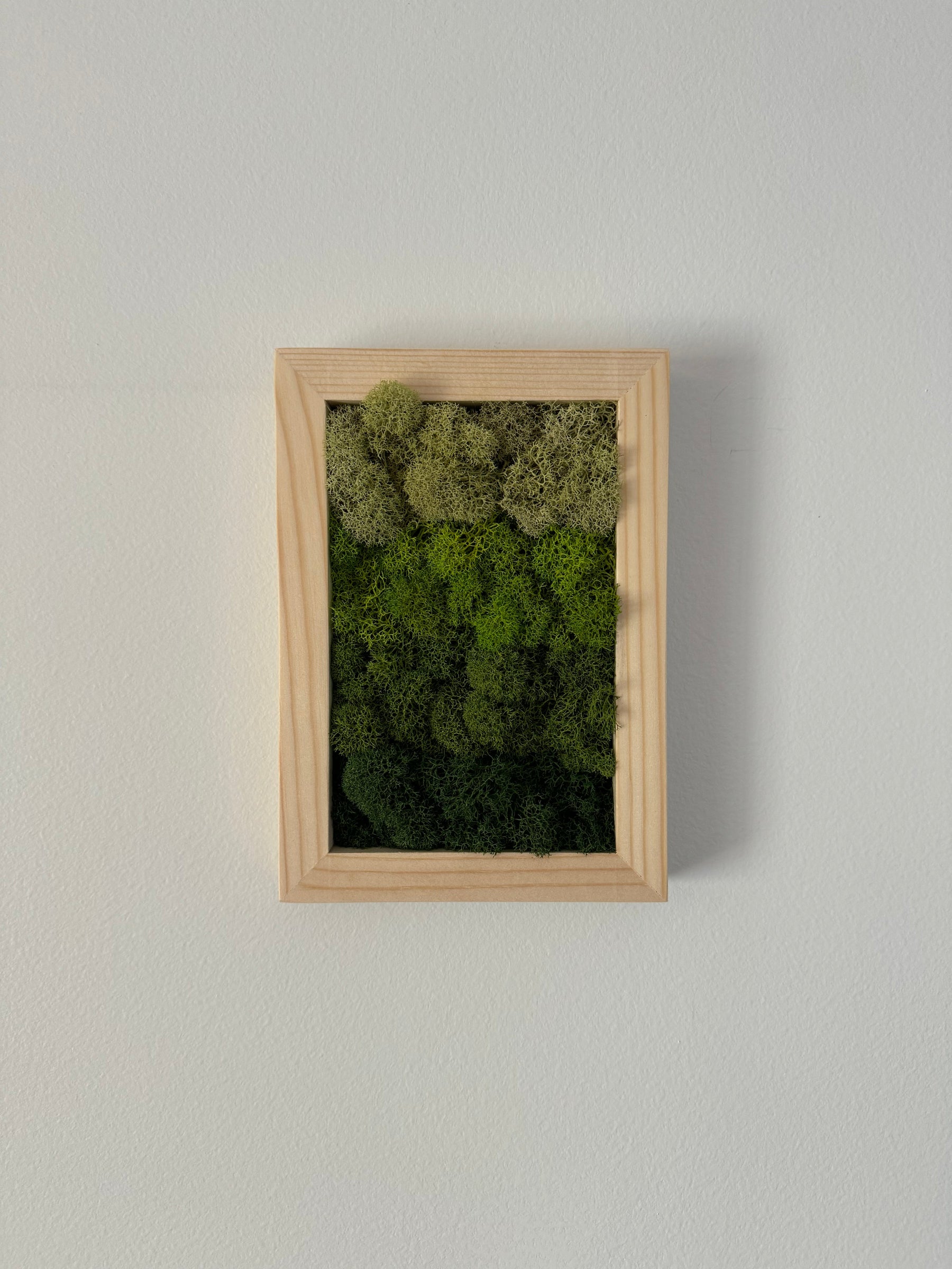 Vertical Gradient, Rectangle