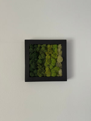 Horizontal Gradient, Square