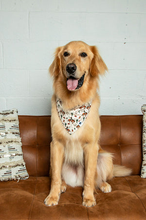 Rodeo Dog Bandana