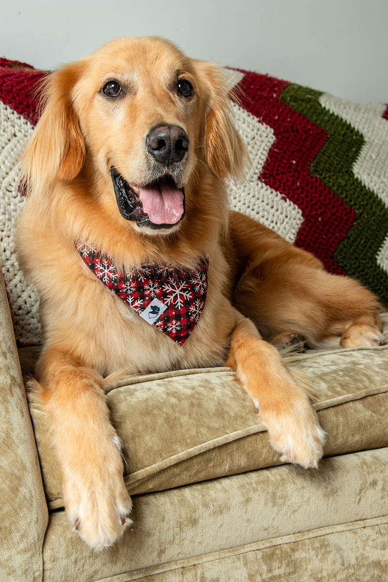 Snowflake & Plaid Winter Reversible Dog Bandana by Dog Bandana Co., product view 4