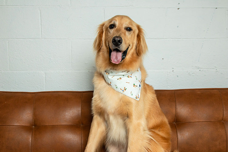 Duck & Camo Dog Bandana