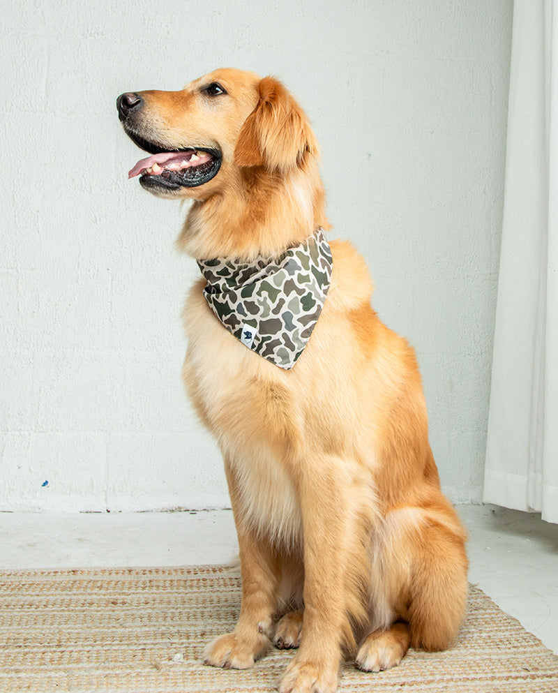 Duck & Camo Dog Bandana