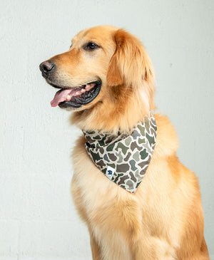 Duck & Camo Dog Bandana