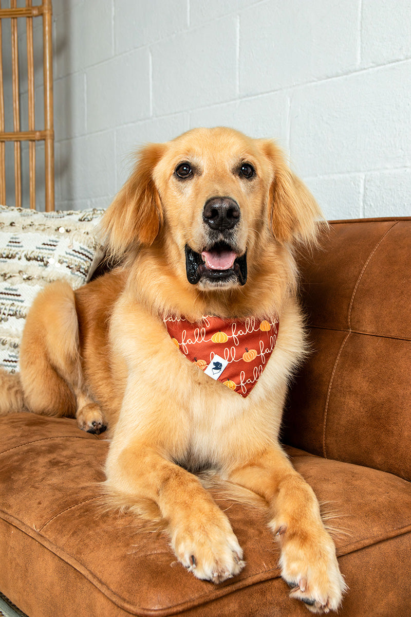 Fall Stripes Reversible Dog Bandana by Dog Bandana Co., product view 5