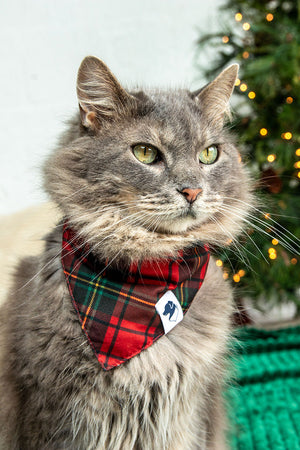 Snowflake & Plaid Winter Reversible Dog Bandana by Dog Bandana Co., product view 3