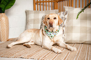 Farmers Market Reversible Dog Bandana