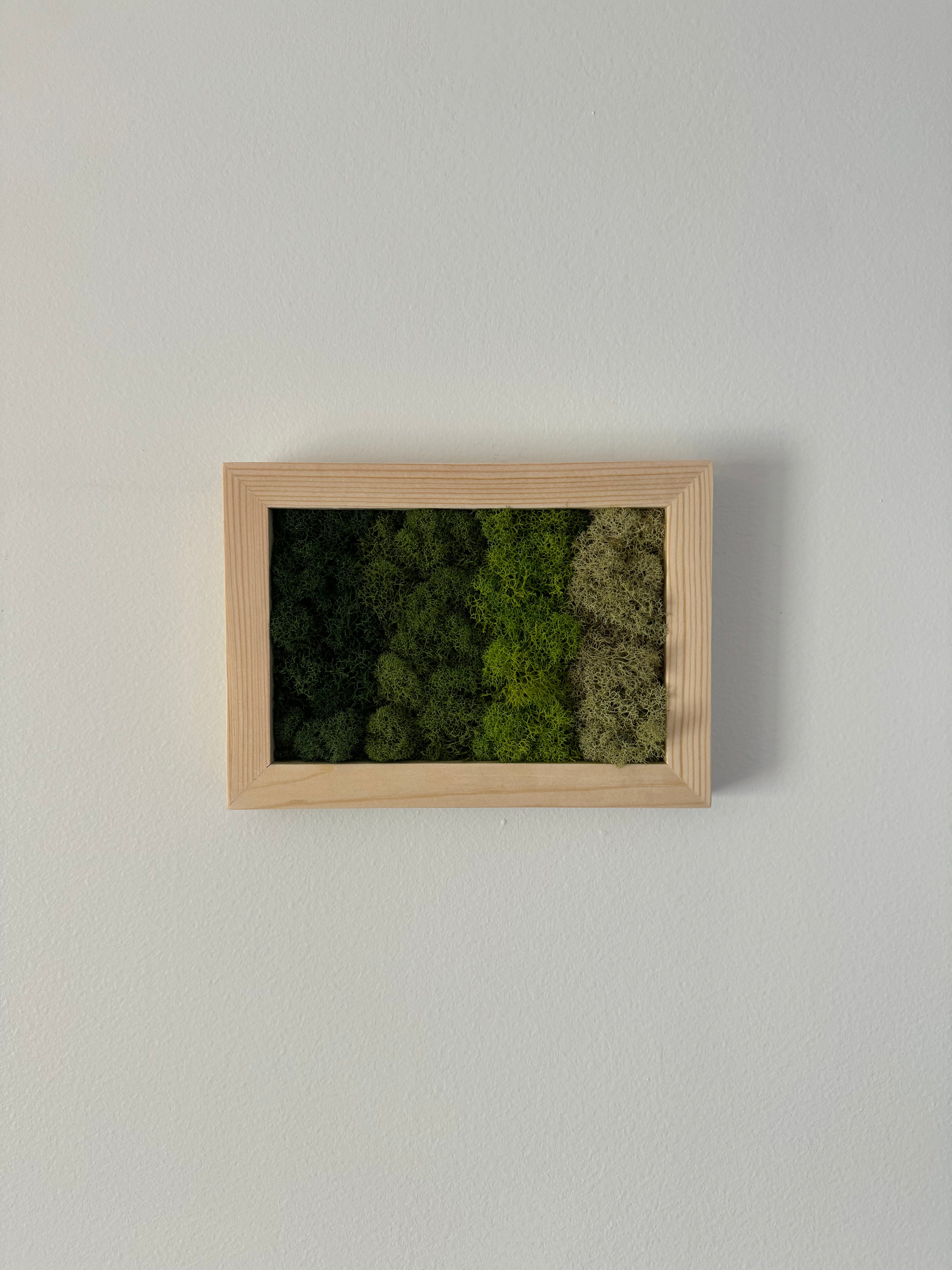 Horizontal Gradient, Rectangle