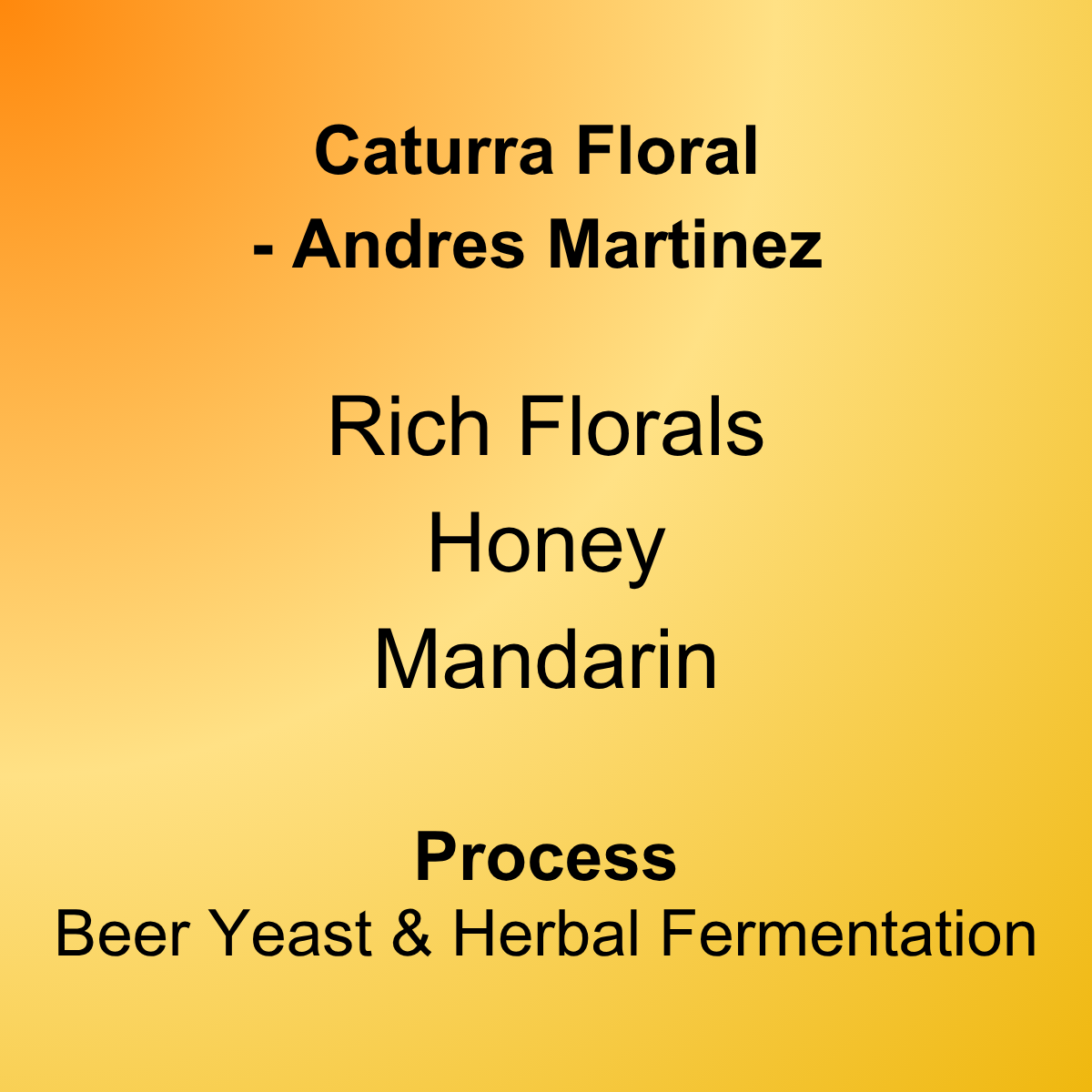 Haiku Brew Caturra Floral coffee by Andrés Martínez