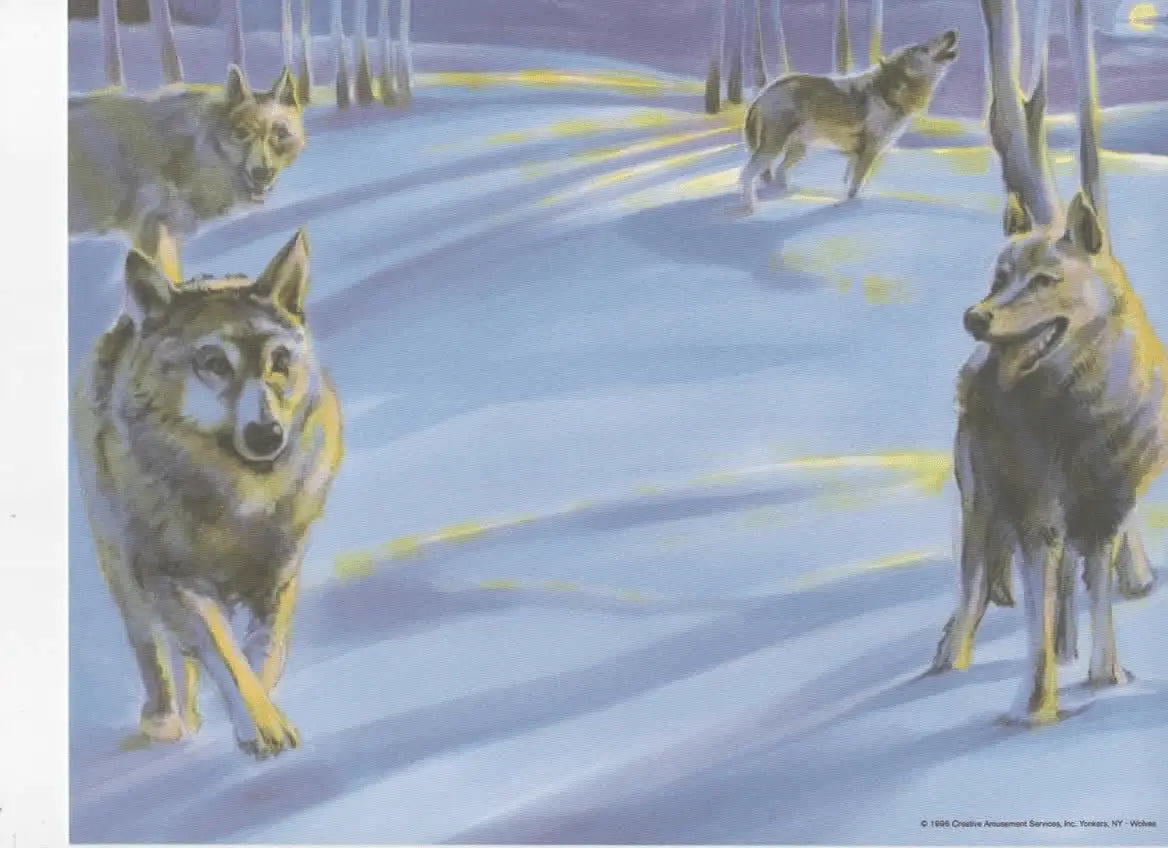 Wolves in Winter Forest Painting: Pack of Wolves Howling