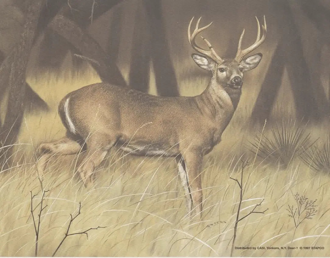 Majestic Deer Portrait: Buck in Natural Habitat, Forest Background, Wildlife Art