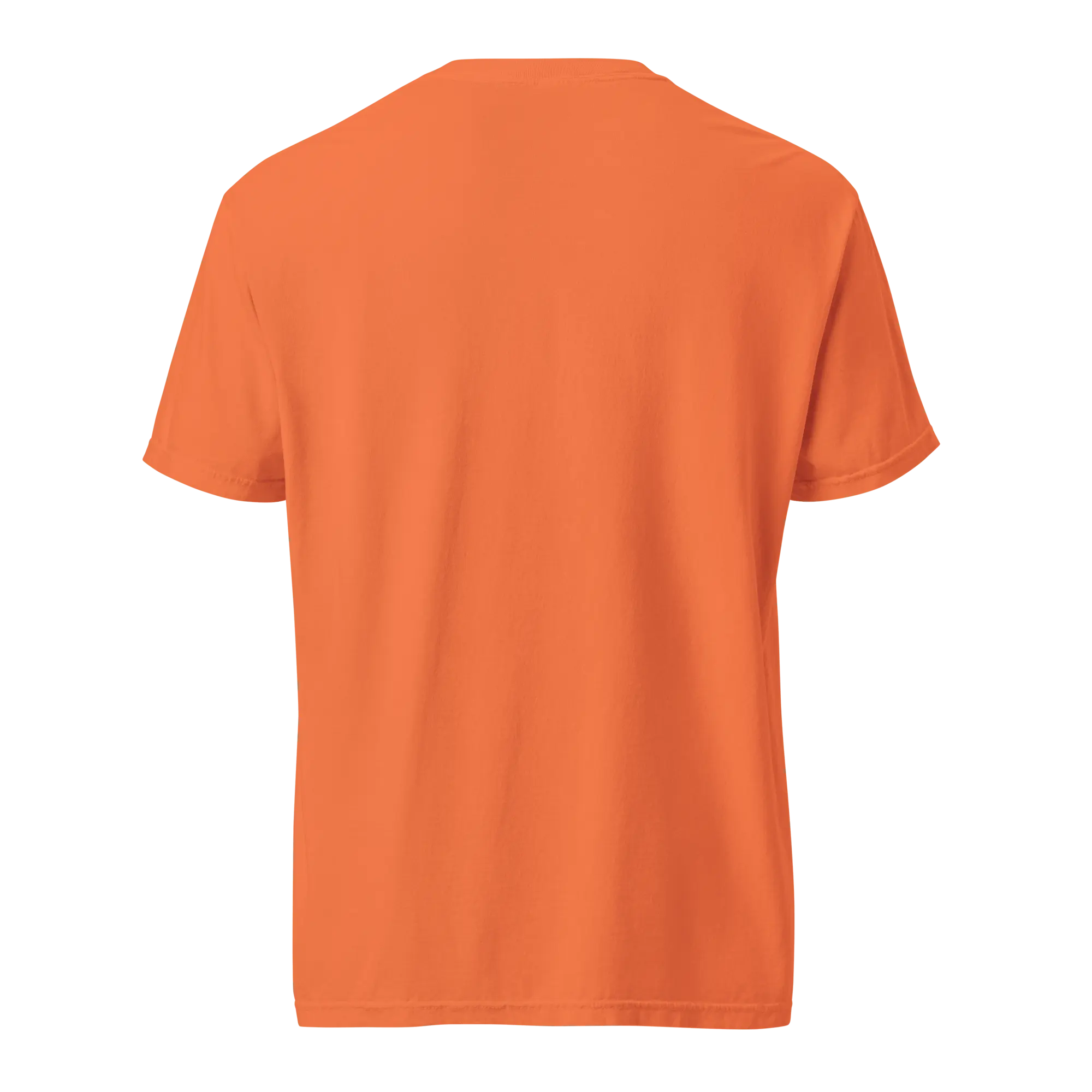 Alabama T-Shirt by Leslie Gonce for Main Street Collective. Comfort Colors tee with white bouncy letters design. Back view.