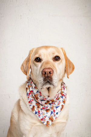 American Summer Dog Bandana Dog Bandana Co.