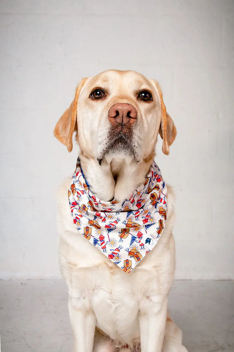 American Summer Dog Bandana Dog Bandana Co.