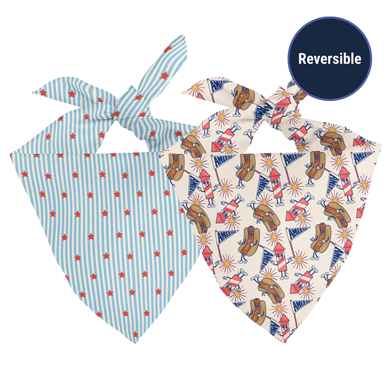 American Summer Reversible Dog Bandana & Matching Scrunchie Set