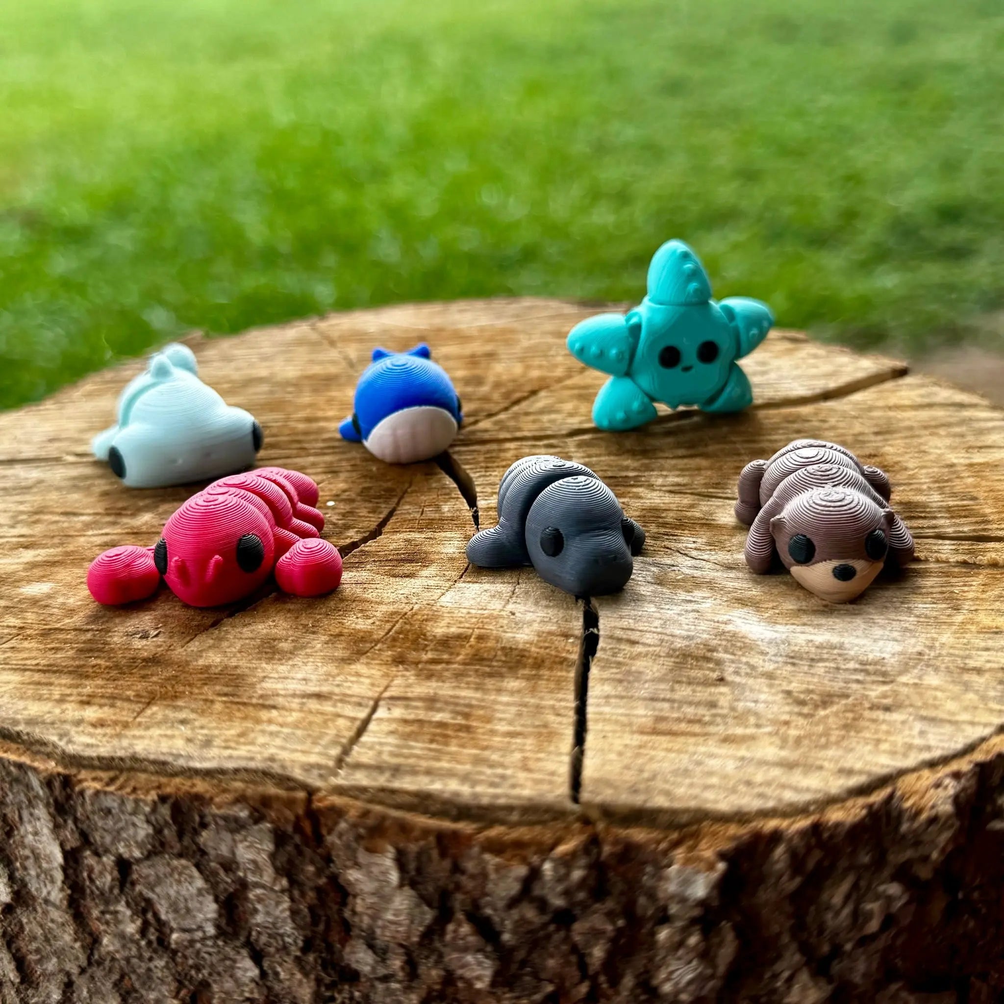 Aquatic Adventure WHOLESALE BUNDLE Mushroom Lady Co