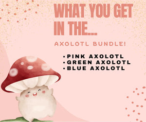 Axolotl Mini Fidget Toy Bundle | 3D Printed Sensory Toys by Mushroom Lady Co, paper gift detail photo 3