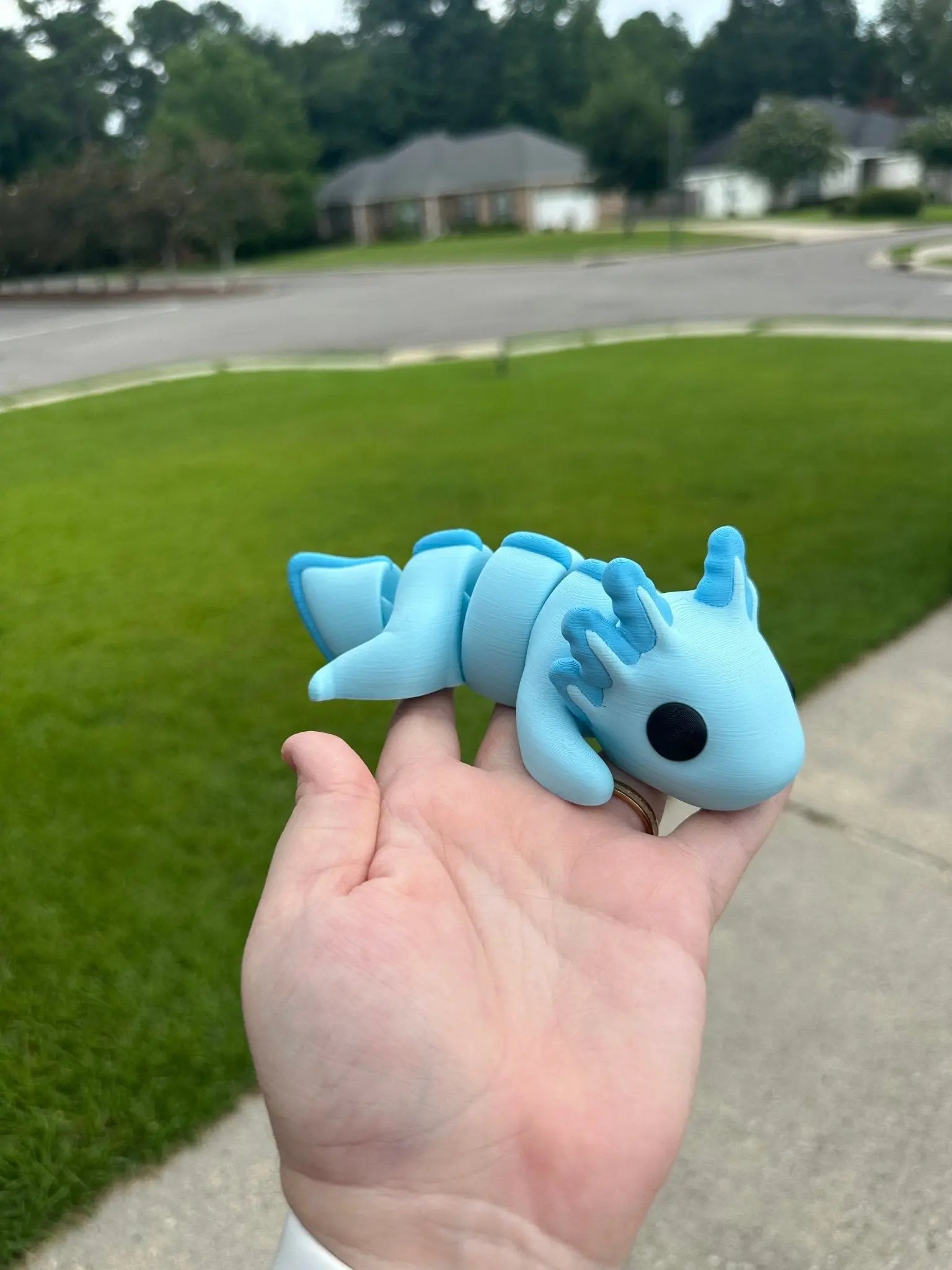 Axolotl 3D Printed Fidget Toy | Large Made-to-Order Sensory Toy by Mushroom Lady Co, paper gift detail photo 5