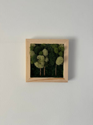 Multi-green Forest, Square