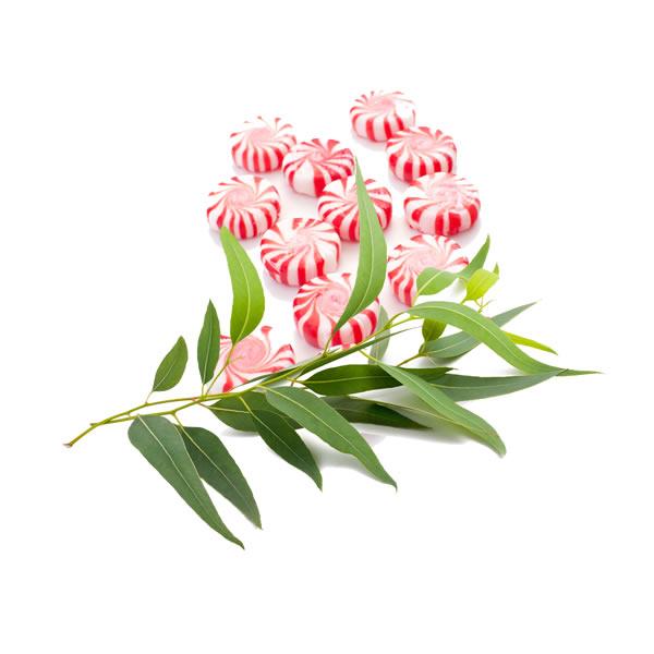 Peppermint & Eucalyptus soy candle and wax melts by Mam Jam’s Candle Company, detail image 2