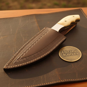 Contoured Bone Handle Skinner with Polished Steel Bolster and Forged Drop Point Blade