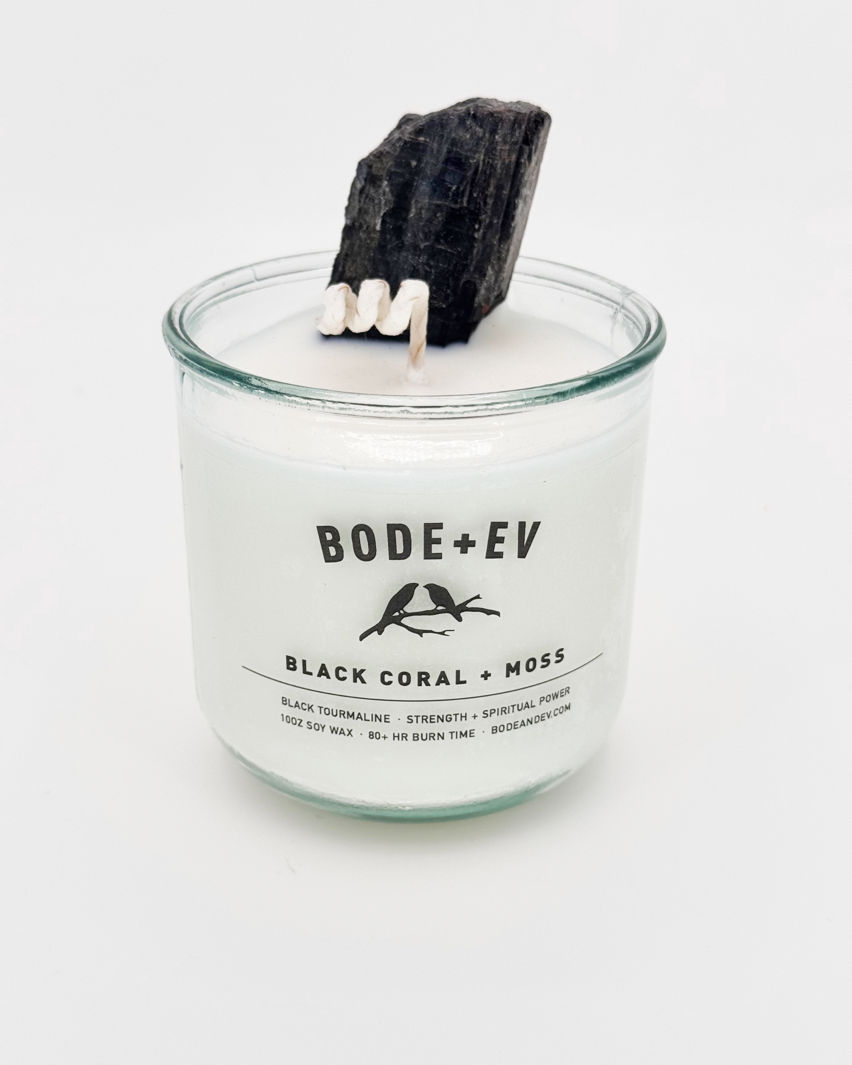 Black Coral + Moss | Dark Oceanic Moss · Sea Air