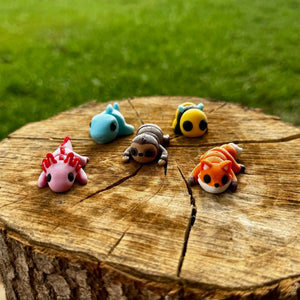 Best Seller Mini Fidget Toy Bundle | 3D Printed Animal Sensory Toys by Mushroom Lady Co, paper gift detail photo 2