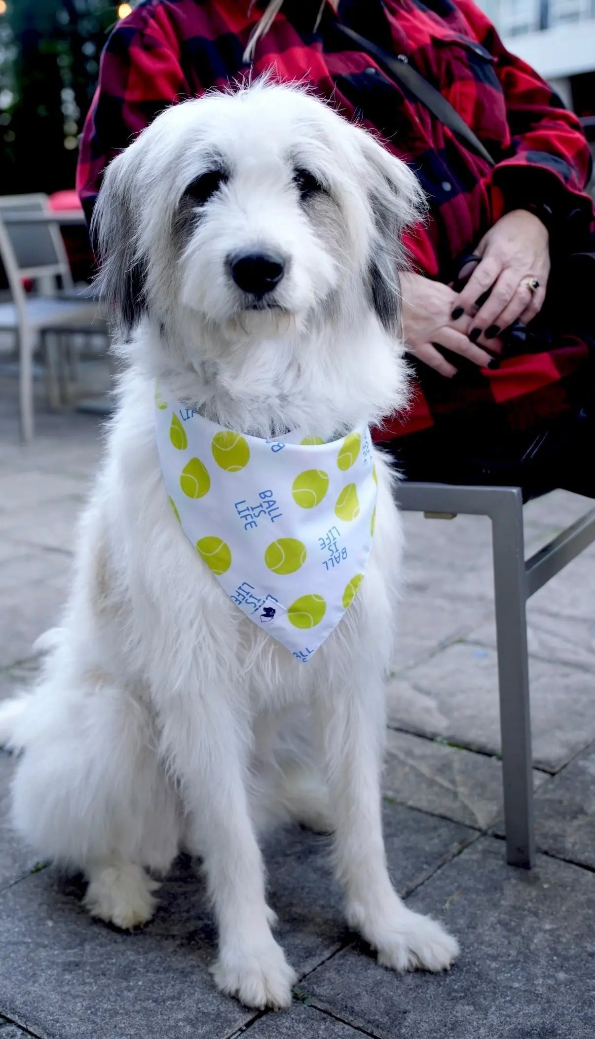 Ball Is Life Dog Bandana Dog Bandana Co.