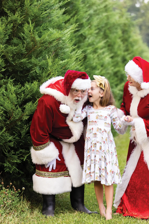 Bayou Wonderland Organic Cotton Christmas Dress for Kids by Nola Tawk, Southern lifestyle apparel detail photo 4