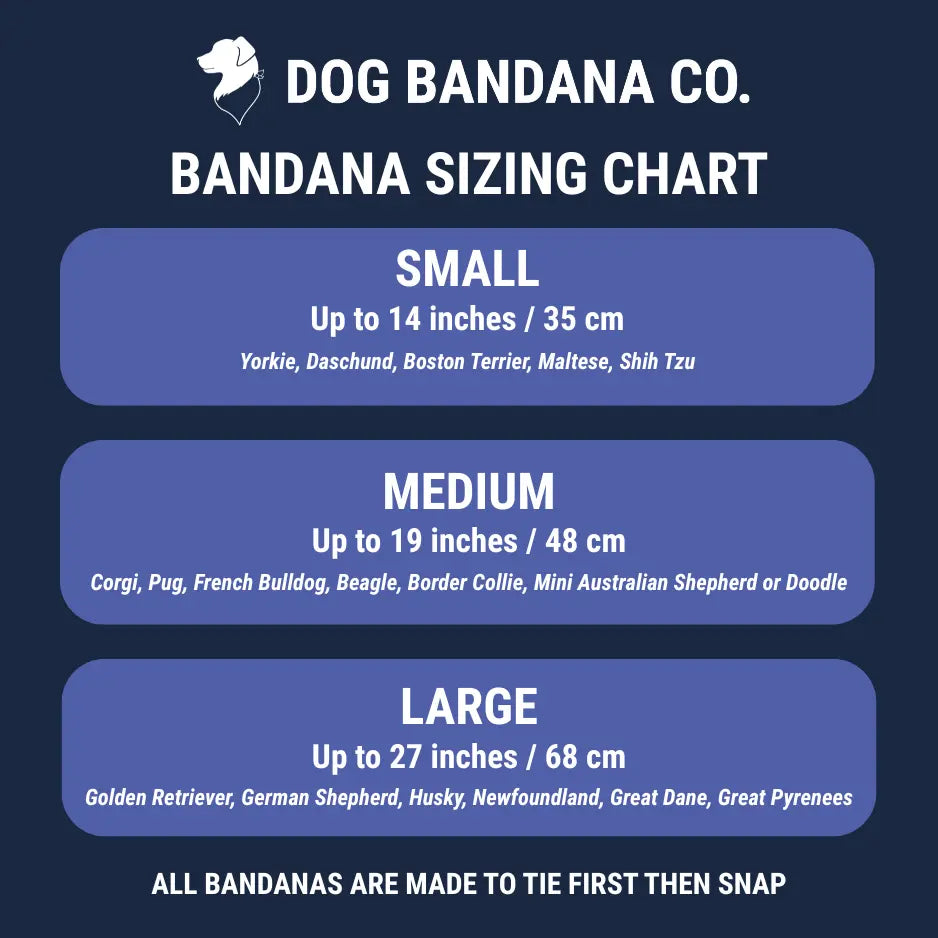 Bees & Daisy Dog Bandana Dog Bandana Co.