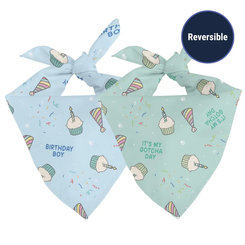 Birthday Boy & Gotcha Day Dog Bandana Dog Bandana Co.