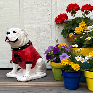 UGA Georgia Bulldog Mascot Cement Statue for Garden, Yard, Home Decor and Porch.