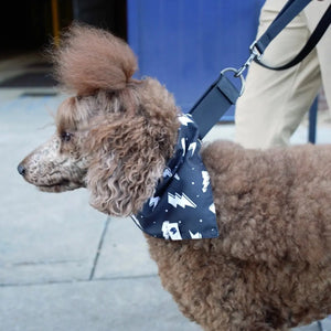 Blue Moon & Lightning Dog Bandana by Dog Bandana Co., pet accessory detail photo 4