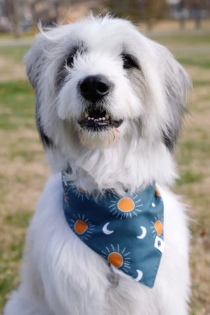 Blue Moon & Lightning Dog Bandana by Dog Bandana Co., pet accessory detail photo 6