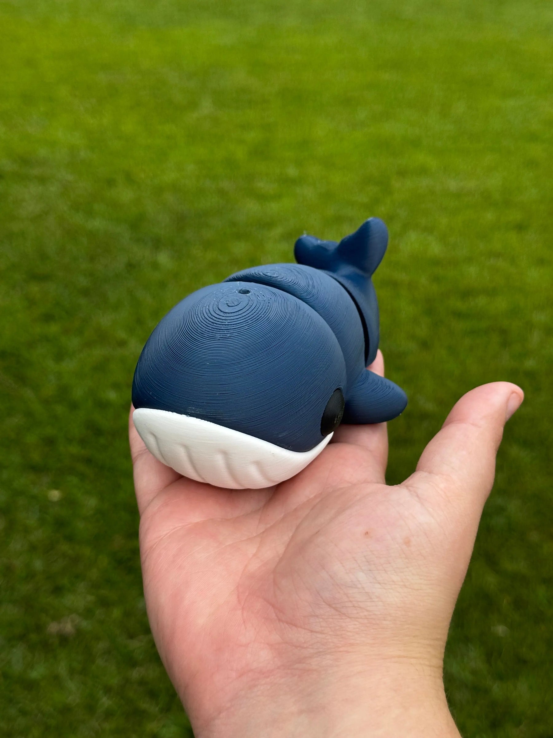 Blue Whale 3D Printed Fidget Toy | Large Ocean Sensory Toy by Mushroom Lady Co, paper gift detail photo 2